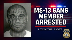 Luis Calderon-Martinez