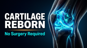 knee cartilage regeneration