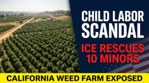 California child labor weed farm ICE raid