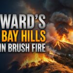 Hayward Brush Fire Scorches 25 Acres Near Cal State East Bay — Calhoun Fire Contained Before Reaching Homes