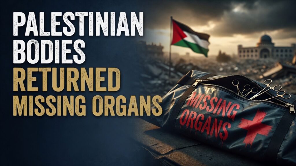 Palestinian bodies returned missing organs