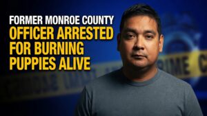 Monroe County animal cruelty