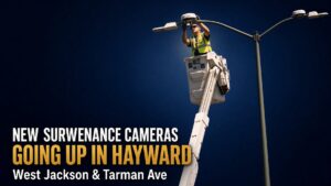 Hayward Flock cameras